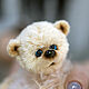 Мишка тедди София. Мишки Тедди. Teddy by Olga Prokudina. Интернет-магазин Ярмарка Мастеров.  Фото №2