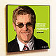 Picture poster Elton John Pop Art, Pictures, Moscow,  Фото №1