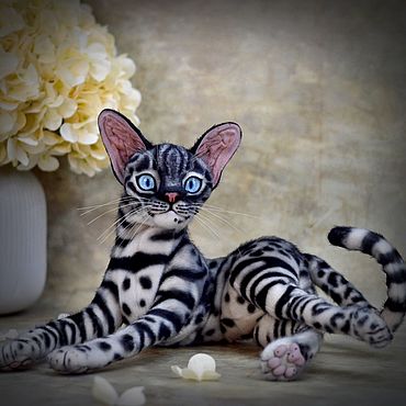 Ориентальная кошка (ориентал): фото, характер, описание породы