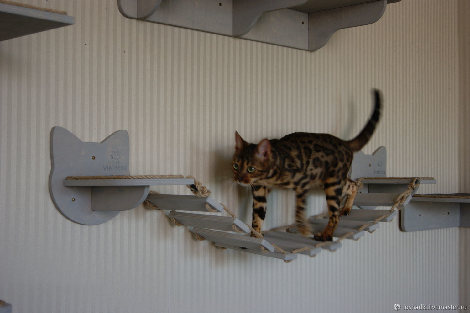 Bridge for cats 'Comfort', Accessories for Pets, Pleasant,  Фото №1