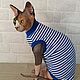 Clothing for cats T-shirt 'Vest', Pet clothes, Biisk,  Фото №1