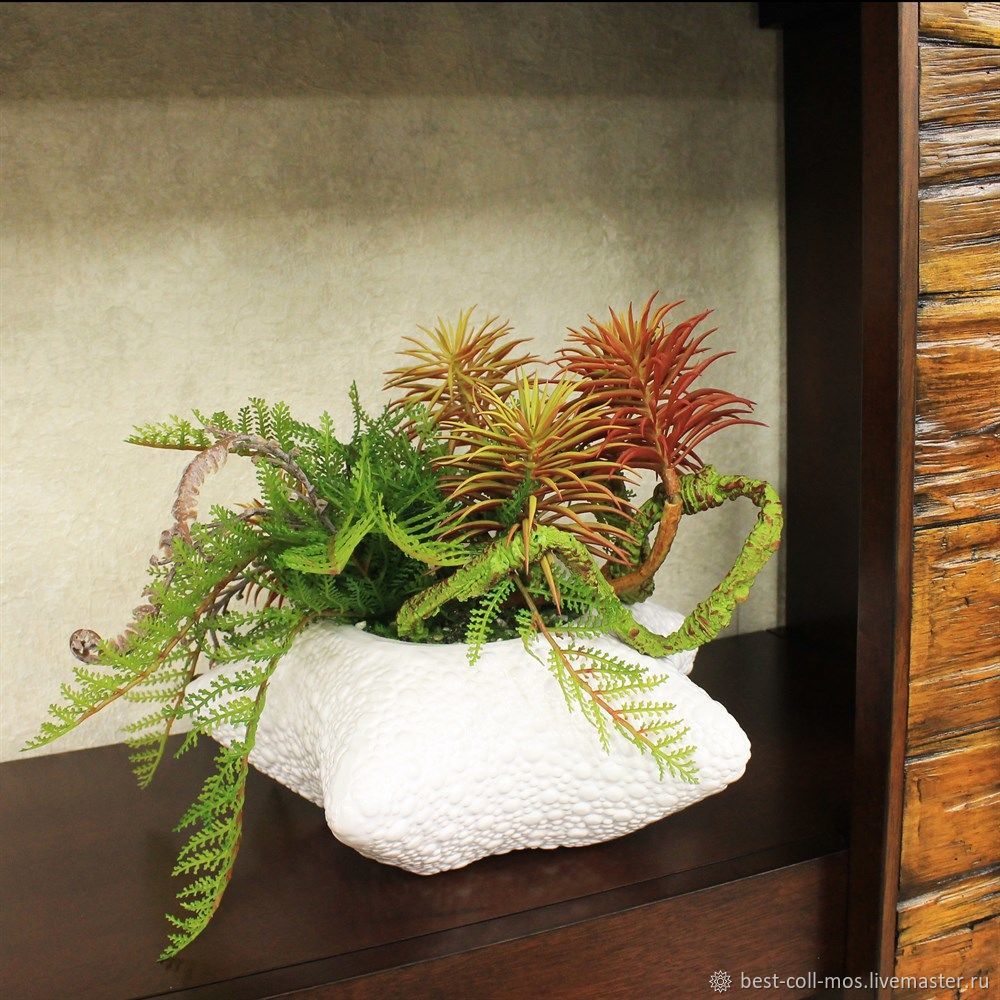 Суккуленты в кашпо Звезда купить в интернет-магазине Ярмарка Мастеров ...