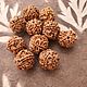 Бусины рудракши. Бусины. Gems for Art (Indianstones). Интернет-магазин Ярмарка Мастеров.  Фото №2