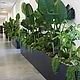 The partition wall planters outdoor. Pots1. LittleHouse. My Livemaster. Фото №6