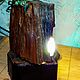 Order Table Lamp-souvenir 'Arkaim' in the form of a rock with a tree!. ROCK The Magic of Natural Stone (skalabvs). Livemaster. . Table lamps Фото №3