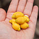 Lemon, Miniature figurines, Kovrov,  Фото №1