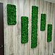 Set of phytopanels made of stabilized moss 5 pieces, Panels, Belgorod,  Фото №1