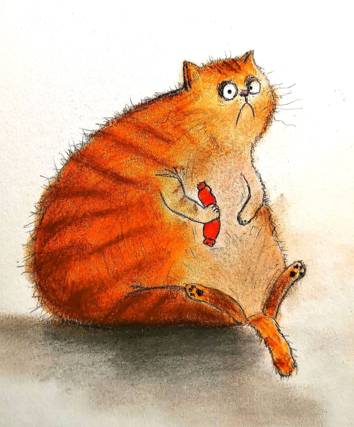 Толстый кот иллюстрация