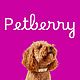 Цветочный ошейник для собак с гравировкой. Ошейники. Petberry. Ярмарка Мастеров.  Фото №4