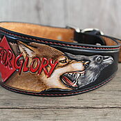 Herring collar for Greyhound
