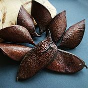 Материалы для творчества handmade. Livemaster - original item Pendants, fruits of the tree Gledichia three-pronged 1 pair. Handmade.