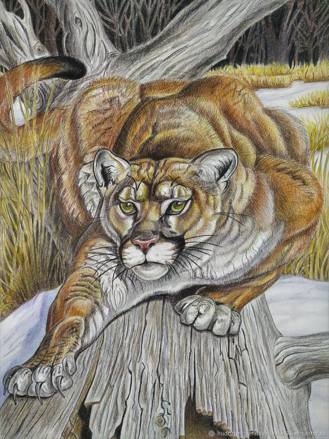 хищные картины