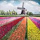 «Поле с тюльпанами» / «Field with tulips», Карты мира, Москва,  Фото №1