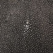 Материалы для творчества handmade. Livemaster - original item The skin of the sea stingray, width 43 cm, completely black!. Handmade.