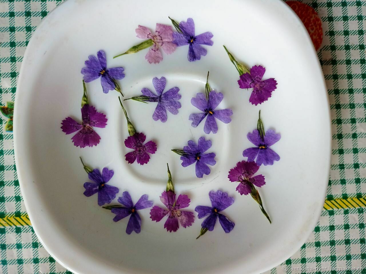 Гвоздика мелкая плоские 15шт Сухоцветы для смолы, для творчества купить ...