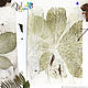  Designer paper. Fingerprints of nature - ekoprint on paper. Pictures. studiya. My Livemaster. Фото №4