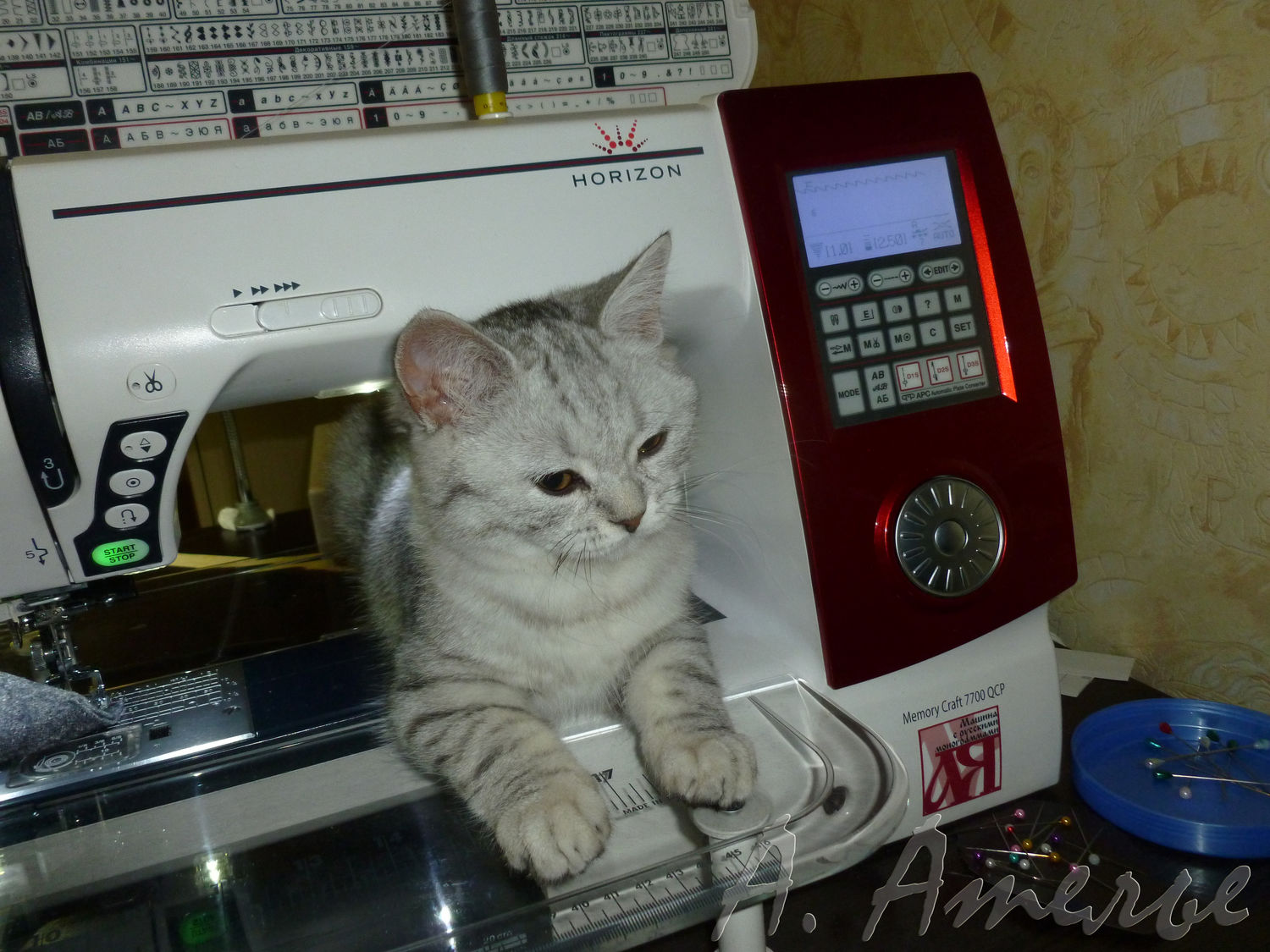 Руководитель и креативный директор Аксинья)))