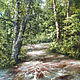 Picture-Forest stream, Pictures, Moscow,  Фото №1