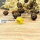 Order Olive beads 10h14mm made of natural Baltic amber lemon. LUXAMBER. Livemaster. . Beads1 Фото №3