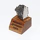 Железный метеорит Дронино, Скульптуры, Обнинск,  Фото №1
