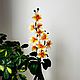 Flower-nightlight orchid 'Sun'. Nightlights. Elena Krasilnikova. Online shopping on My Livemaster.  Фото №2