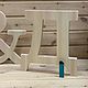Заказать Инициалы для свадьбы. bizibord_novosibirsk. Ярмарка Мастеров. . Оформление зала Фото №3