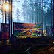 Флуоресцентное полотно "Terraforming", Элементы интерьера, Москва,  Фото №1