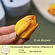 Silicone soap mold Tulip 'Apricot' type In 6pcs. Form. myfavoriteforms (myfavoriteforms). My Livemaster. Фото №4
