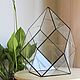 Order the florariumov: The Floriana. Vase for Floriana. Size M. Glass Flowers. Livemaster. . Florariums Фото №3