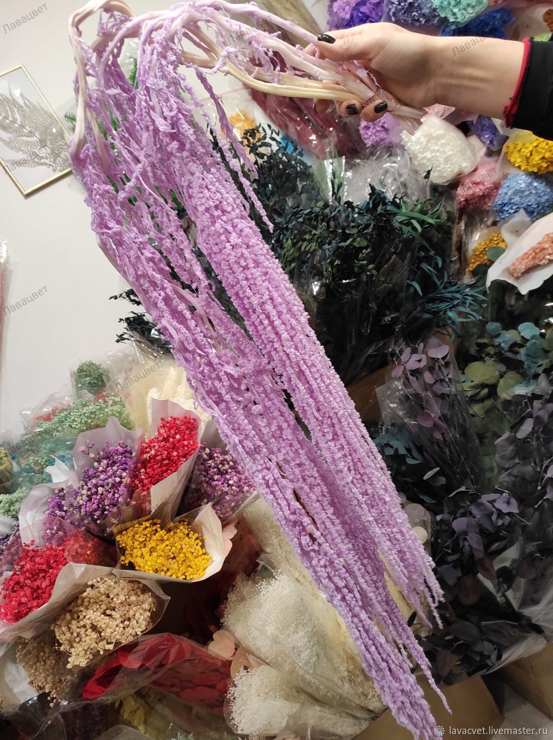 Амарант стабилизированный. Сиреневый купить в интернет-магазине Ярмарка ...