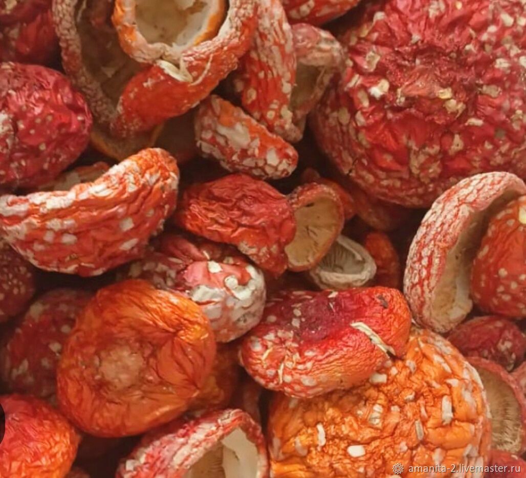 Мухомор красный сушеный (колпачки) Алтай 2025 год, 100 грамм в интернет-магазине Ярмарка Мастеров по цене 2200 ₽ – X1JNARU | Компоненты для косметики, Москва - доставка по России