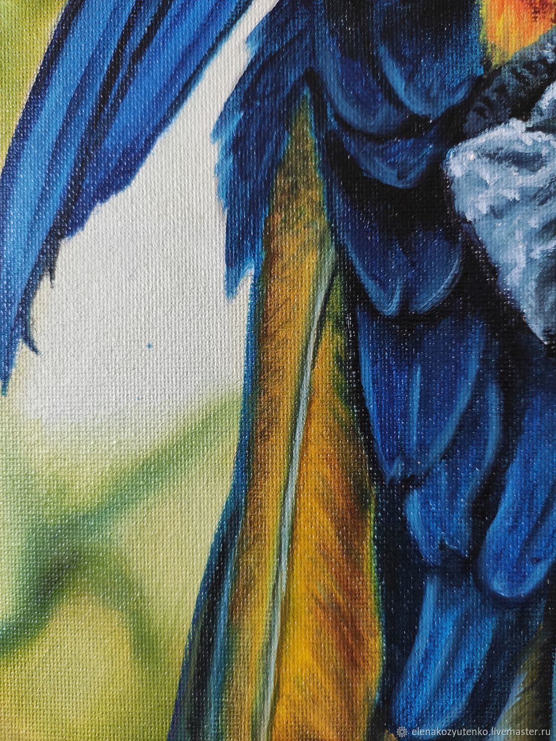 Голубой ара рисунок
