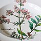 Заказать Винтаж: Глубокая тарелка для первых блюд. Botanica, Villeroy & Boch. Винтажная посуда из Германии. Ярмарка Мастеров. . Тарелки винтажные Фото №3