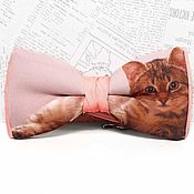Аксессуары handmade. Livemaster - original item Bow Tie Cat  / butterfly with cat / kitten. Handmade.