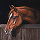 Картина Мой друг лошадь, Картины, Йошкар-Ола,  Фото №1