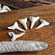 Fossilized shark tooth 15-25 mm. Figurines in Russian style. merlin-hat (Merlin-hat). My Livemaster. Фото №5