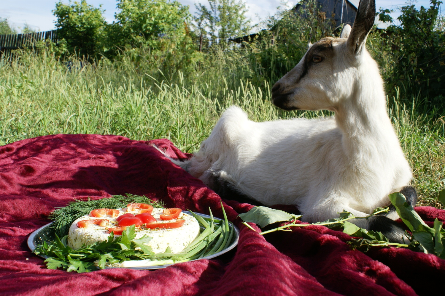 Мой профиль