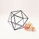 The Floriana. Geometric Floriana for flowers and a mini garden. The icosahedron, Florariums, St. Petersburg,  Фото №1