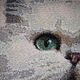 Картина "Кошка", вышитая крестиком. Картины. Елена (cat-fold). Ярмарка Мастеров.  Фото №5