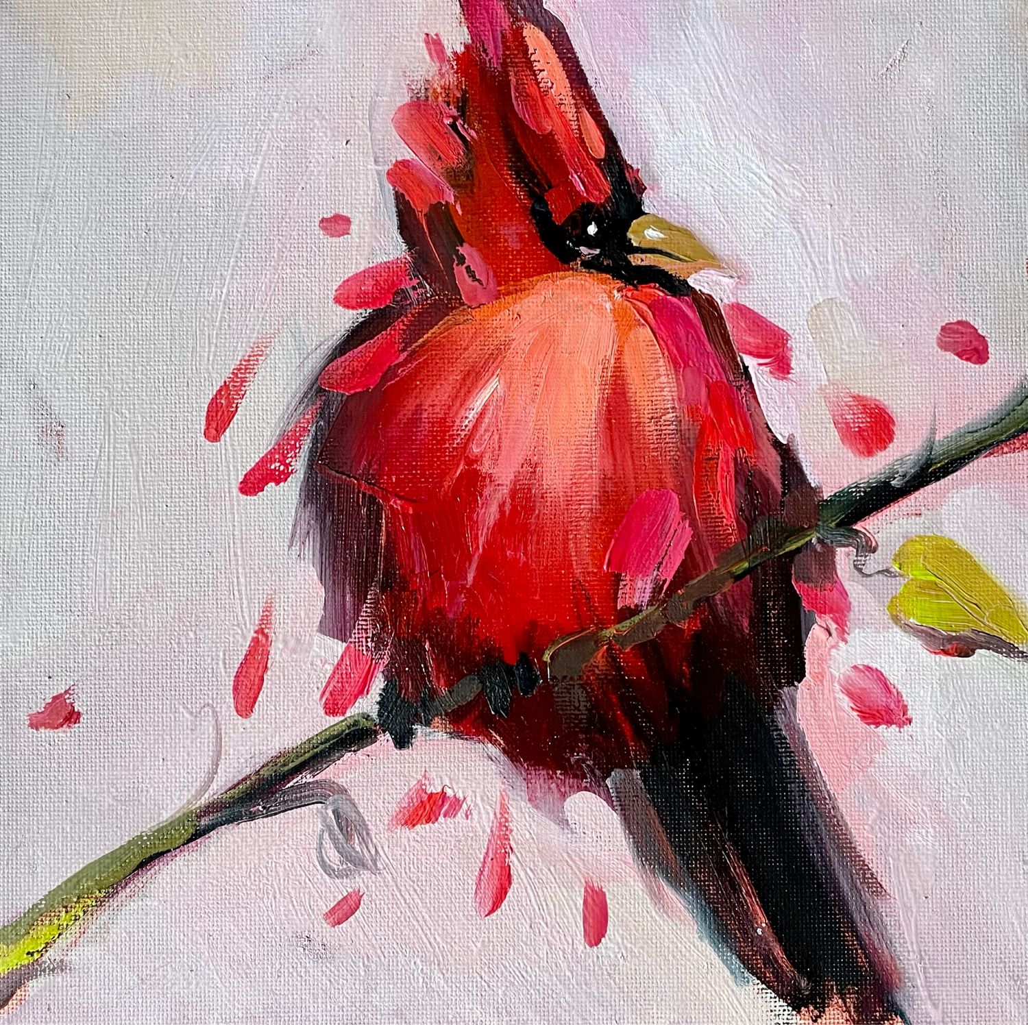 Кардинал картина маслом с птичкой холст 20*20 см купить в интернет ...