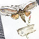 'Fragile present' watercolor, flowers, butterflies. Pictures. Nadezda Perova. Online shopping on My Livemaster.  Фото №2