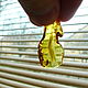 Natural amber pendant 'Promised Heaven' K-868. Pendants. Amber shop (vazeikin). Online shopping on My Livemaster.  Фото №2