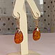 Order Amber Gold 583 Gold Amber Earrings Vintage USSR. Aleshina. Livemaster. . Vintage earrings Фото №3