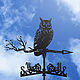 A weathervane on the roof, 'Owl'. Vane. arnometaldecor. Online shopping on My Livemaster.  Фото №2