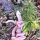 Hare Teddy Solomon rabbit collectible author's Bunny Easter. Teddy Toys. NatalyTools (natalytools). My Livemaster. Фото №6