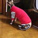 Clothing for cats 'Dude'. Pet clothes. Happy-sphynx. Online shopping on My Livemaster.  Фото №2