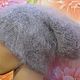 Down hat double lapel knitted from goat down, Caps, Urjupinsk,  Фото №1