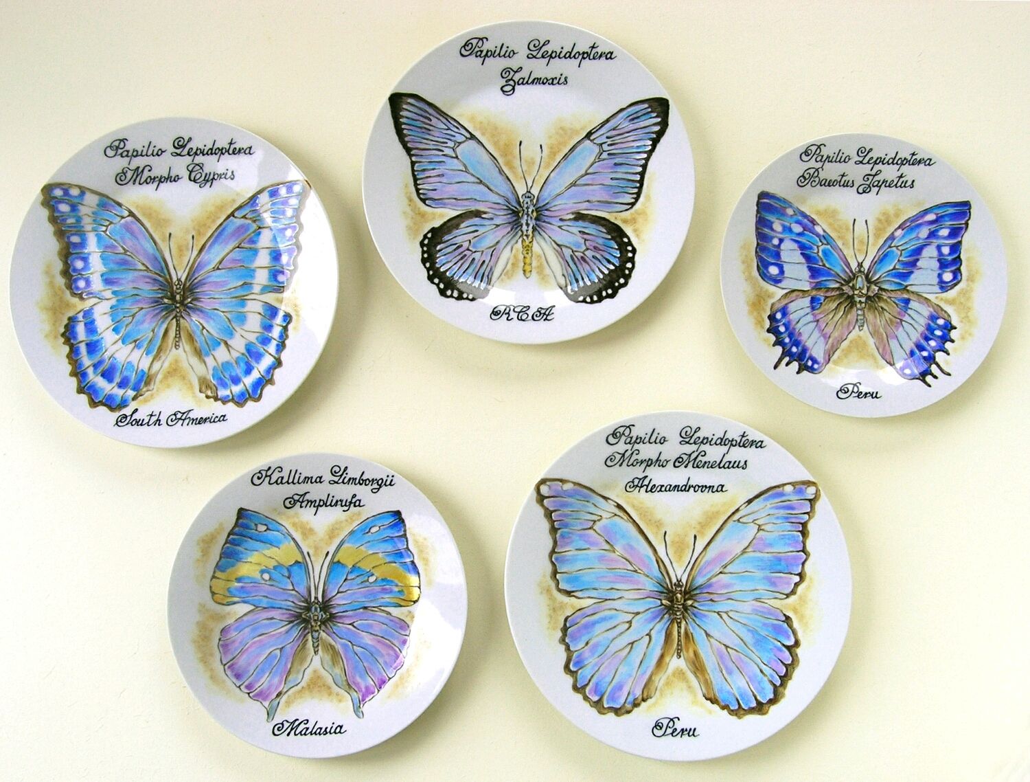 Озон купить бабочку. Тарелка "бабочка". Декор бабочка на тарелке. Декоративная тарелка с бабочкой. Декоративные тарелки на стену с бабочками.