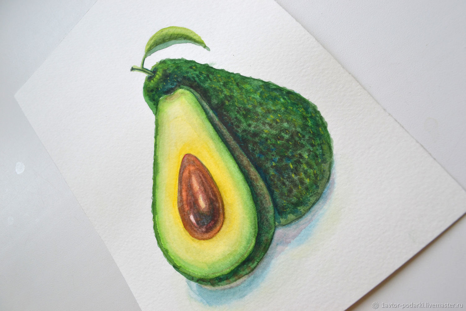 Авокадо рисунок акварелью
