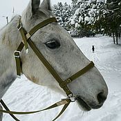 Зоотовары handmade. Livemaster - original item Working with bridle for horse. Handmade.